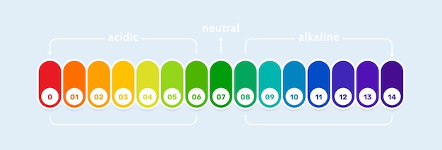 Vector diagrama de gráfico de indicador de escala de ph análisis de medida ácida y alcalina concepto de alimentación saludable ilustración vectorial