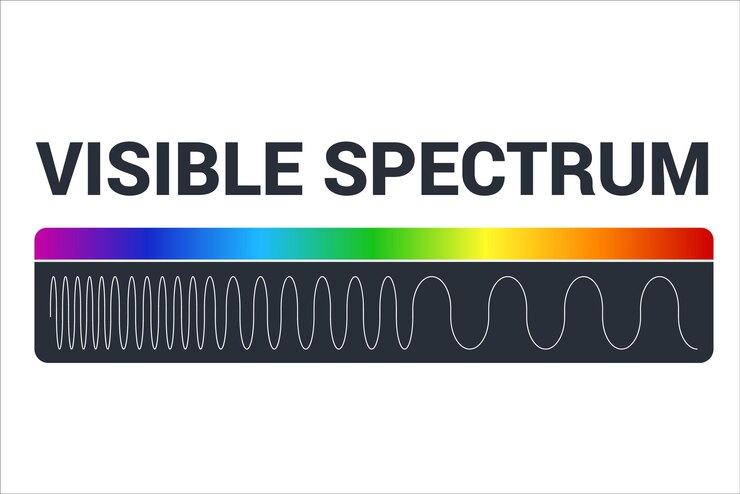 Vector diagrama de luz visible color espectro electromagnético frecuencia de las ondas de luz física escolar educativa