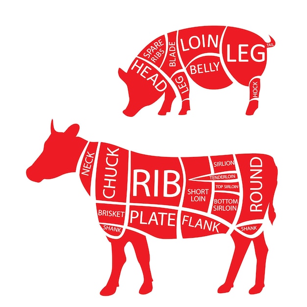 Vector diagrama o gráfico de cortes de vaca y cerdo silueta negra de cerdo y vaca gráfico de carnicero de cortes de vaca y cerdo