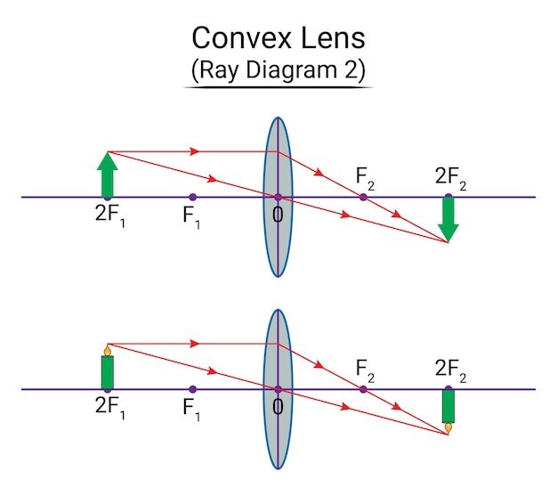 Diagrama de rayos de lente convexa 2