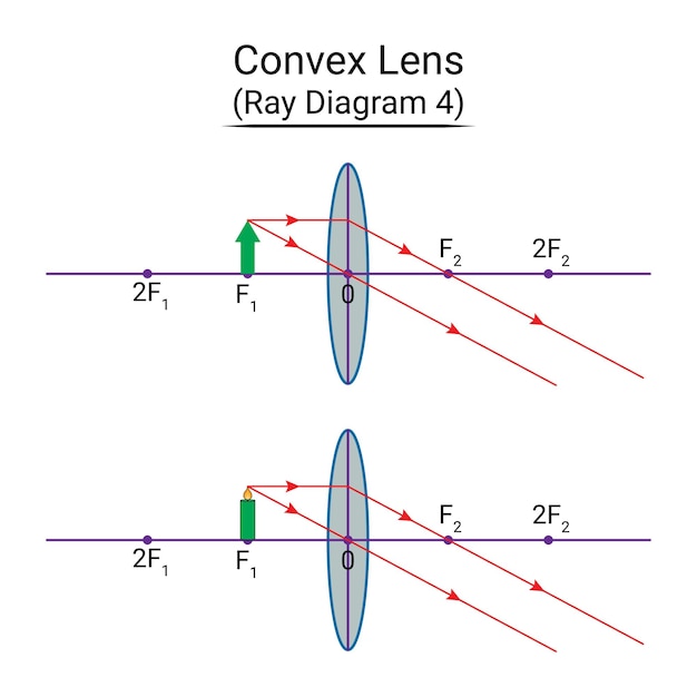 Diagrama de rayos de lente convexa 4