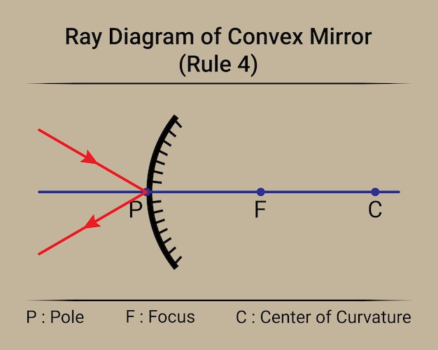 Vector diagrama de rayos de la regla 4 del espejo convexo