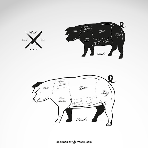 Vector diagrama vectorial de carne de cerdo