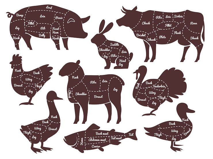 Vector diagramas de carnicero líneas de corte diferentes partes siluetas de animales de granja domésticos