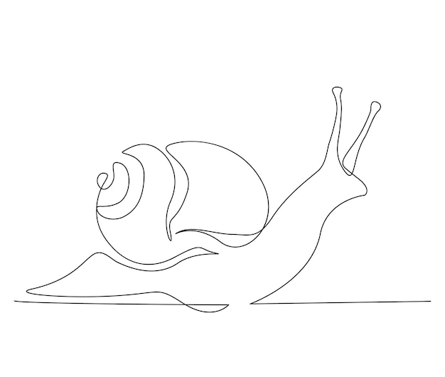 Se dibuja un caracol sobre un fondo blanco.