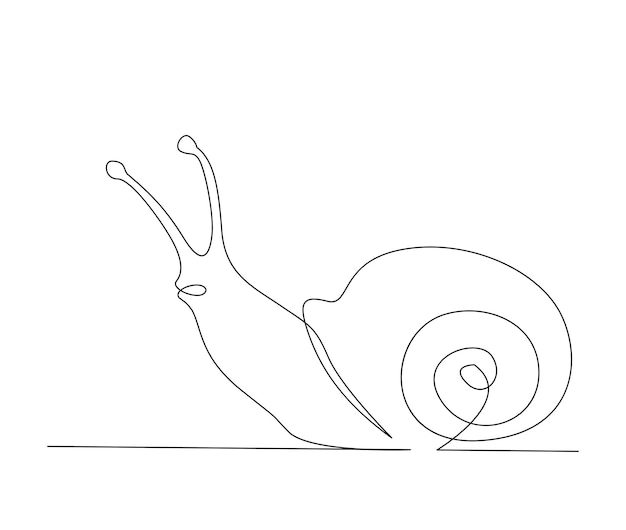 Se dibuja un caracol sobre un fondo blanco.