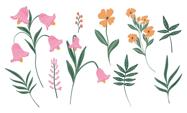 Dibuja a mano los elementos de la decoración floral