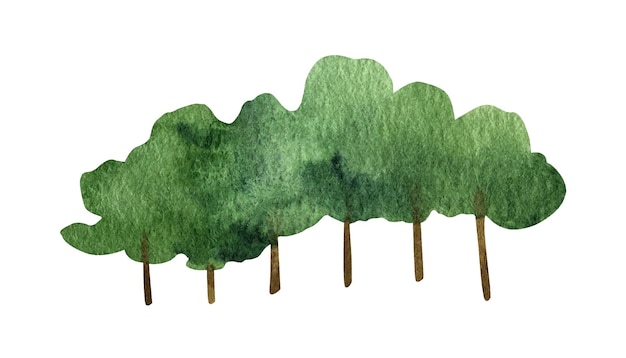 Vector dibujado a mano acuarela bosque árbol caducifolio clipart