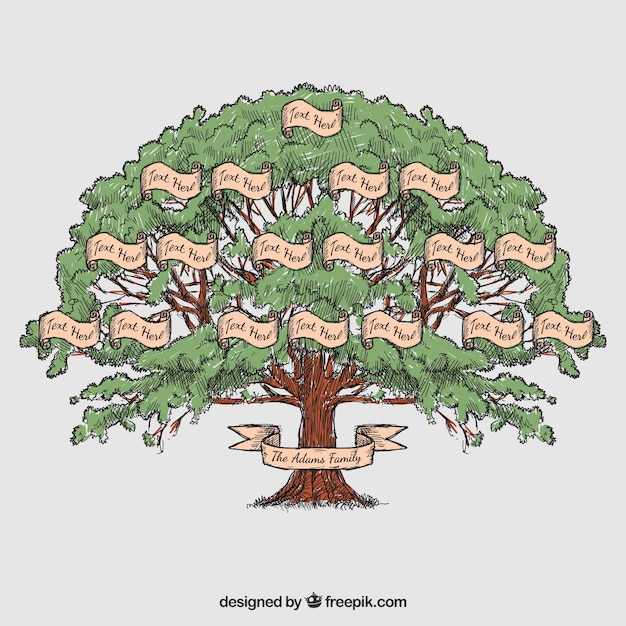 Vector dibujado a mano árbol genealógico