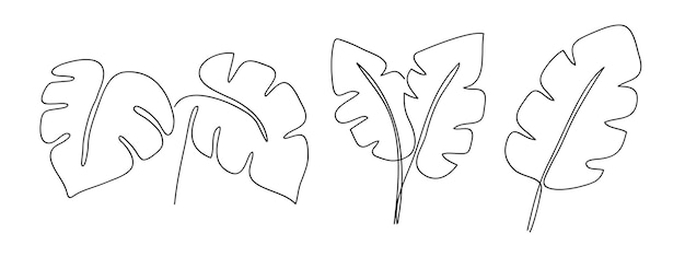 Dibujado a mano un arte de línea continua de hojas de monstera tropical Conjunto de hojas