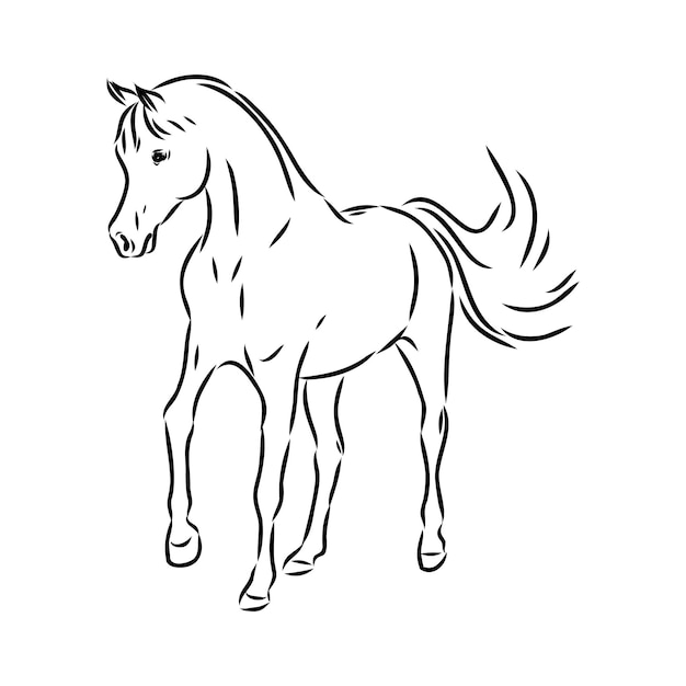 Dibujado a mano de boceto de caballo árabe con pluma en formato vectorial eps