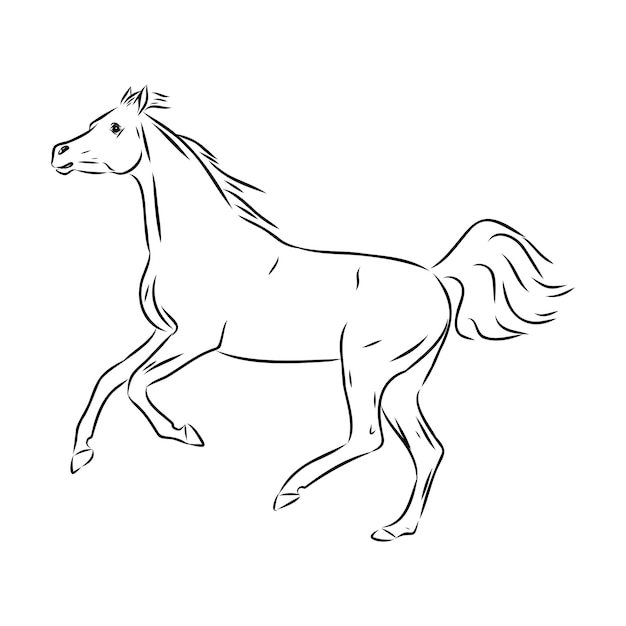 Dibujado a mano de boceto de caballo árabe con pluma en formato vectorial eps