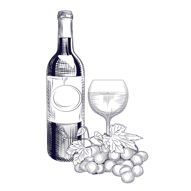 Vector dibujado a mano botella de vino, vidrio y uvas. estilo de grabado.