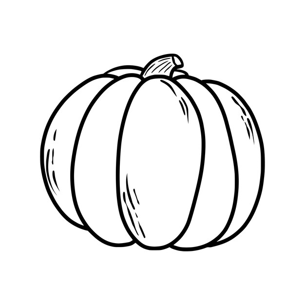 Vector dibujado a mano de calabaza ilustración vectorial en estilo moderno calabaza festiva vegetable de otoño