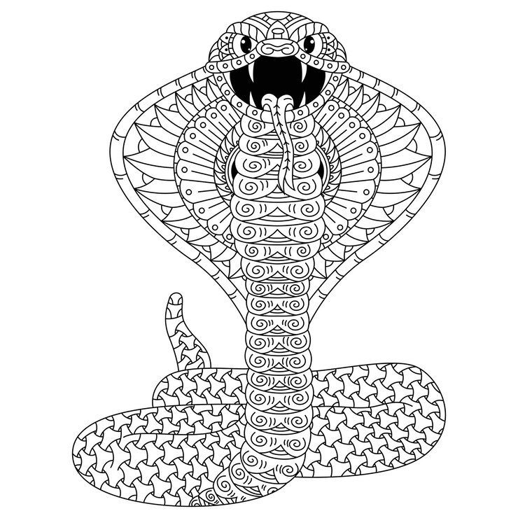 Vector dibujado a mano de cobra en estilo zentangle