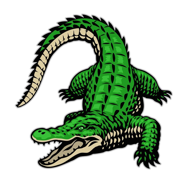 Vector dibujado a mano de cocodrilo enojado
