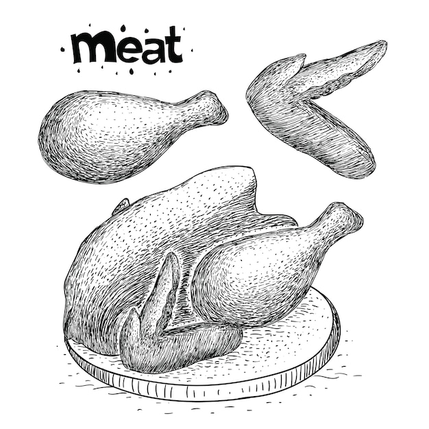 dibujado a mano colección de carne de pollo