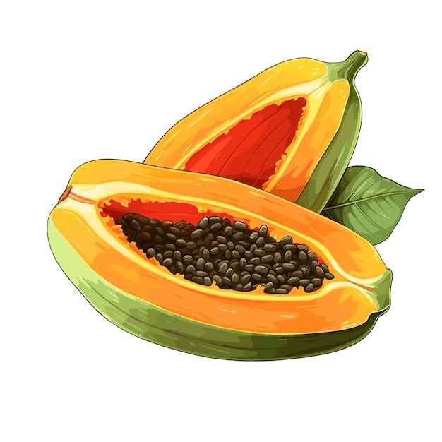 Dibujado A Mano Color Plano Fruta Papaya Ilustración
