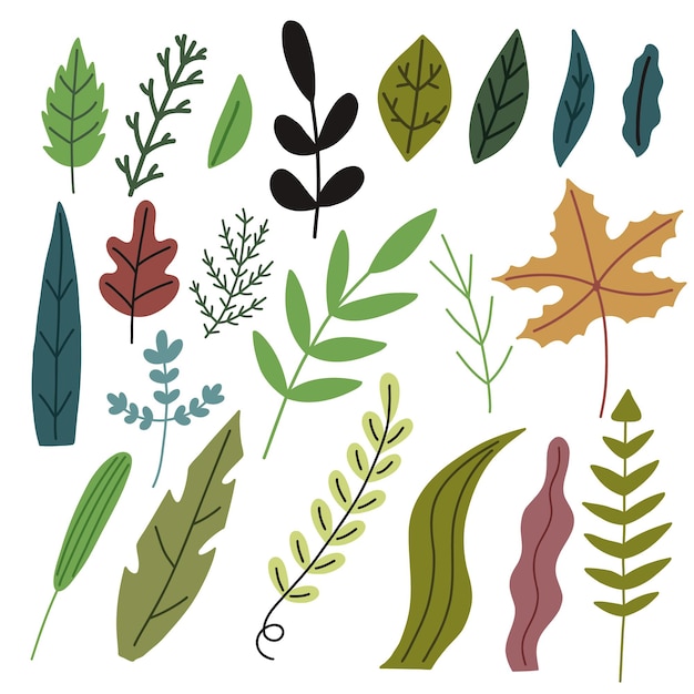 Dibujado a mano conjunto de hojas decorativas del bosque. elementos de imágenes prediseñadas de hierba de naturaleza en ilustración de arte ingenuo de vector