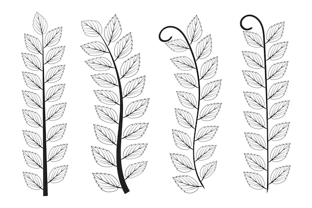 Dibujado a mano doodle olivo ramas hojas de otoño vintage Laurel Wreath hoja elemento bosque