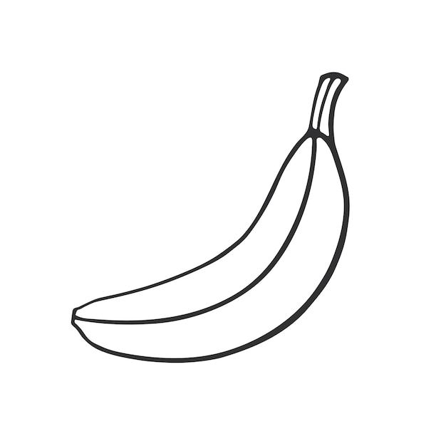 Dibujado a mano doodle de plátano sin pelar Comida vegetariana saludable Dibujo de dibujos animados Ilustración vectorial