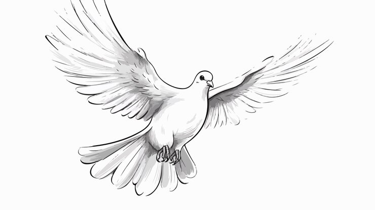 Vector dibujado a mano por dove sketch ilustración vectorial de dibujos animados