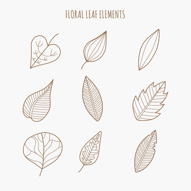 Dibujado a mano elementos de hojas florales