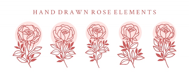 Dibujado a mano elementos de logotipo de flor rosa