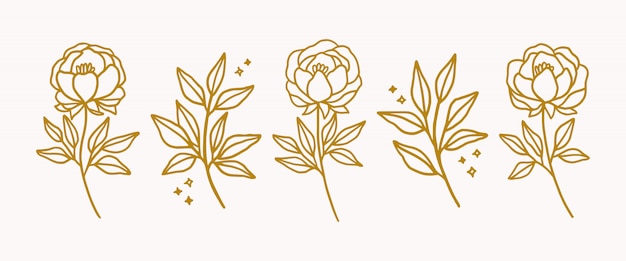 Dibujado a mano elementos de logotipo floral de oro
