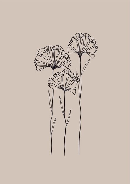 Dibujado a mano flor floral amapola Vector