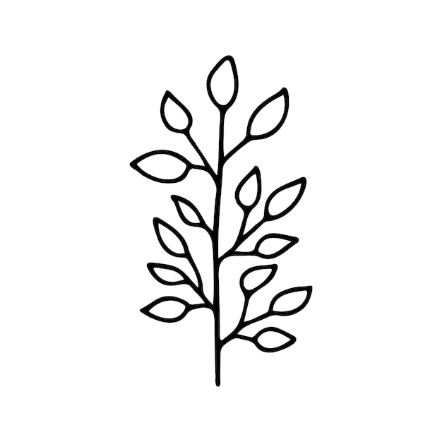 Dibujado a mano floral a base de hierbas clipart Vector de doodle de una línea