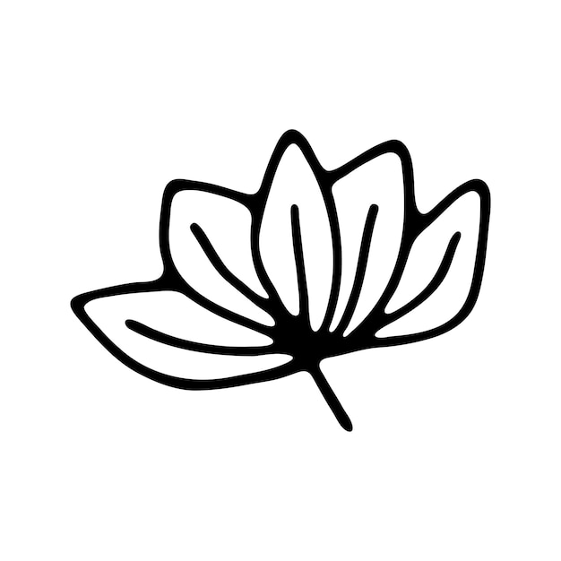 Dibujado a mano floral a base de hierbas clipart vector de doodle de una línea