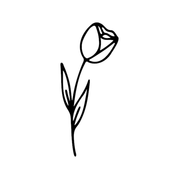 Dibujado a mano floral a base de hierbas clipart Vector de doodle de una línea