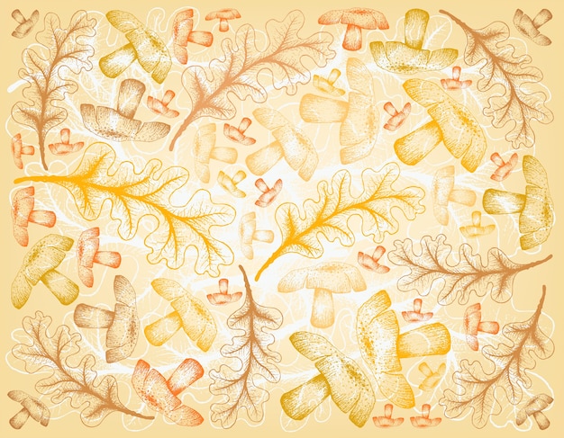 Dibujado a mano fondo de otoño Hojas de roble y setas