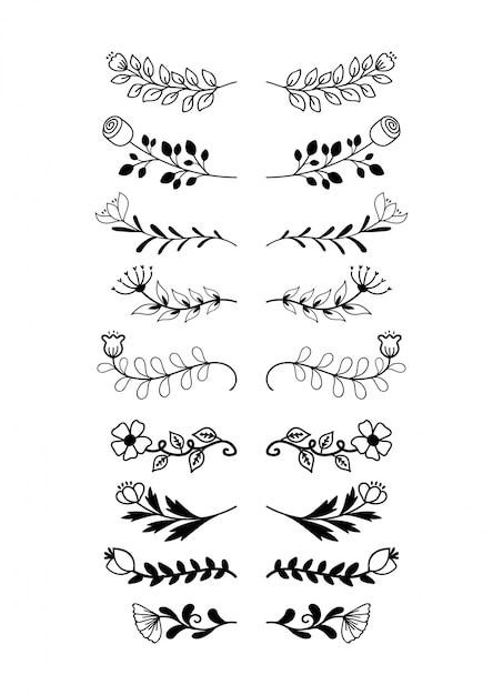 Dibujado a mano las fronteras conjunto de elementos de colección, vector floral ornamento de remolino