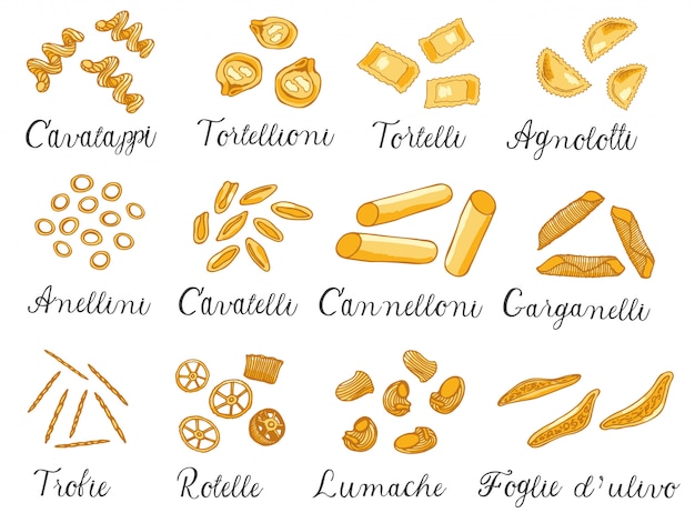 Dibujado a mano gran conjunto de diferentes tipos de pasta italiana. ilustración vectorial, de color.