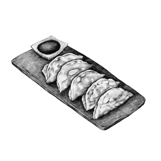 Dibujado a mano Gyoza japonés bola de masa hervida en forma de media luna