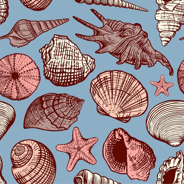 Dibujado a mano hermosa concha de mar de patrones sin fisuras. Fondo marino de concha en estilo retro boceto