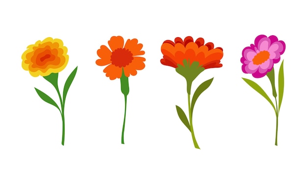 Dibujado a mano hermoso conjunto de ilustraciones de flores de primavera
