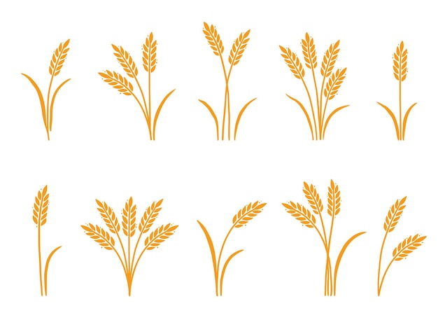 Dibujado a mano icono de arroz de cebada de trigo