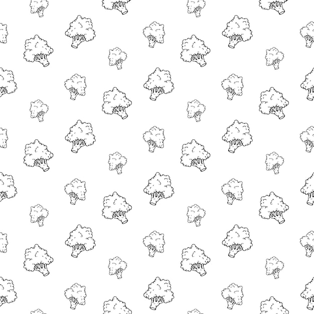Dibujado a mano icono de doodle de brócoli. Boceto negro dibujado a mano. Símbolo de signo. Elemento de decoración. Fondo blanco. Aislado. Diseño plano. Ilustración vectorial.