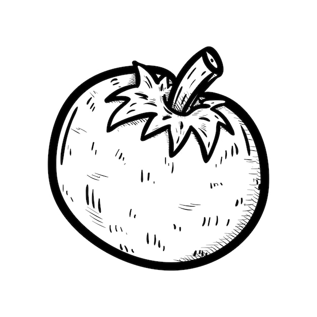 Dibujado a mano un icono de doodle de tomate. Boceto negro dibujado a mano. Símbolo de signo. Elemento de decoración. Fondo blanco. Aislado. Diseño plano. Ilustración vectorial.