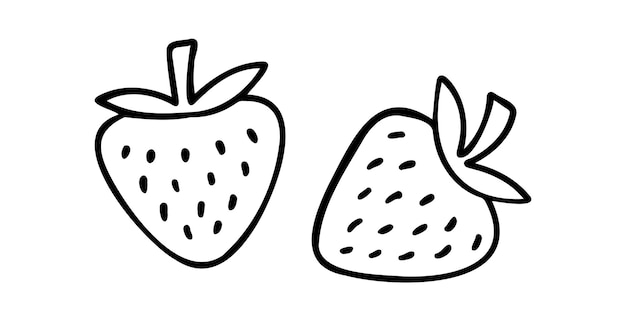 Dibujado a mano con un icono de fresa y bayas, con un contorno, una línea de dibujo, un clipart, un símbolo, una ilustración vectorial.
