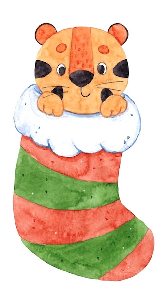 Dibujado a mano ilustración acuarela con lindo tigre y calcetín navideño