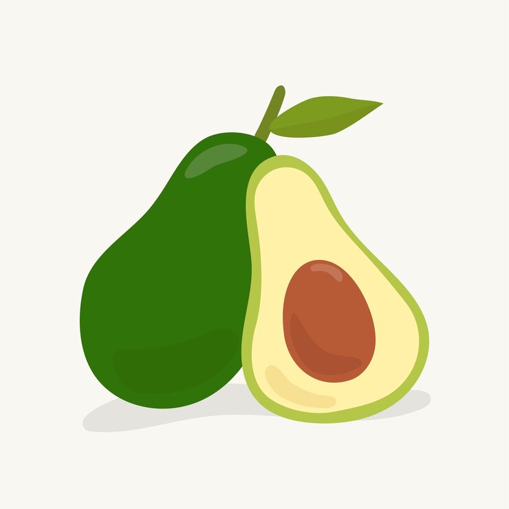 Vector dibujado a mano ilustración de aguacate