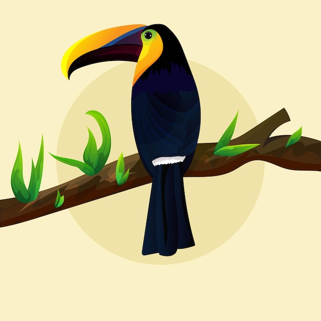 Vector dibujado a mano ilustración especies aves color exótico en el mundo