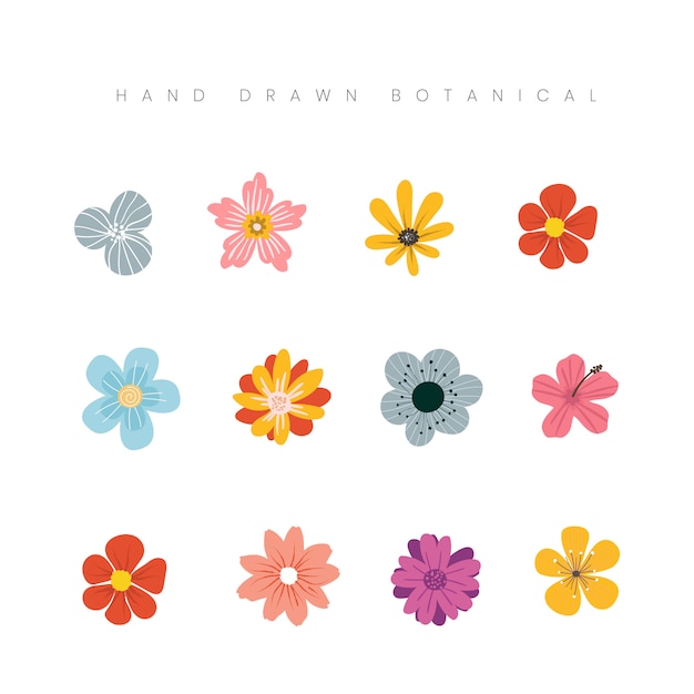 Dibujado a mano ilustración floral de la flor botánica de primavera