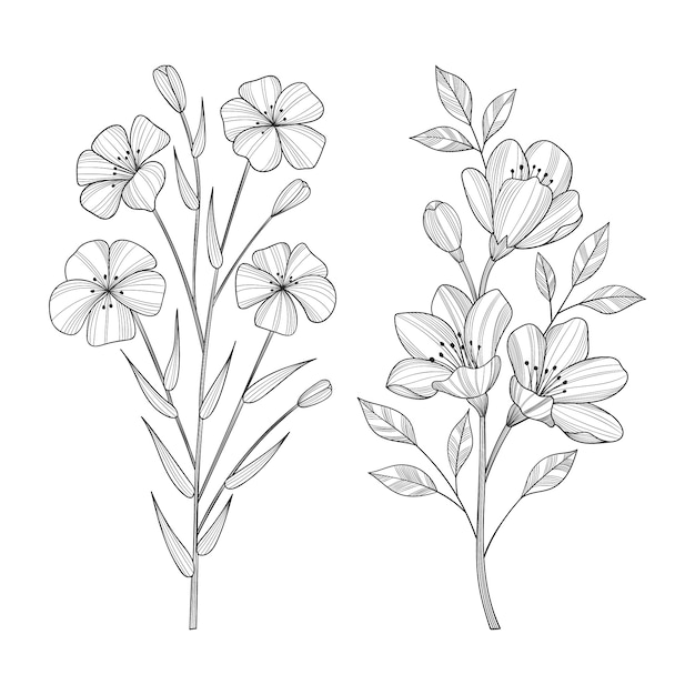 Dibujado a mano ilustración de flores y hojas silvestres.