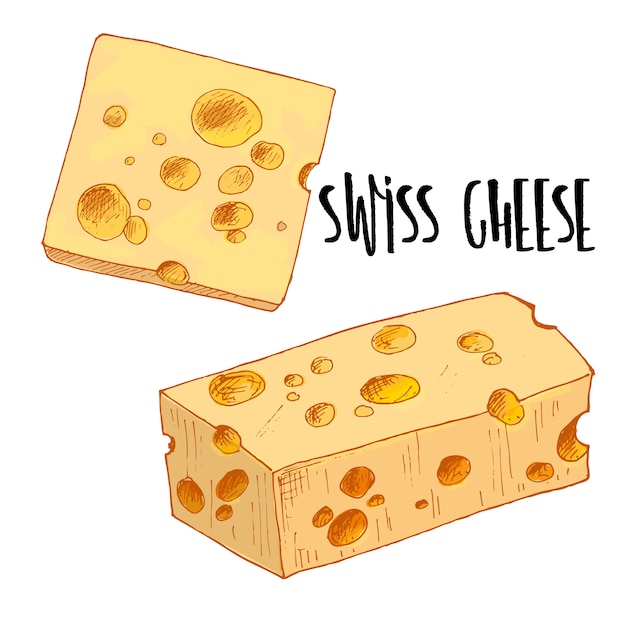 Dibujado a mano ilustración de queso suizo