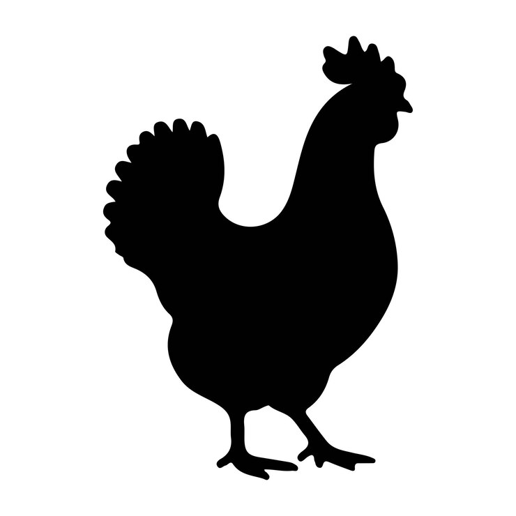 Dibujado a mano ilustración de silueta de pollo